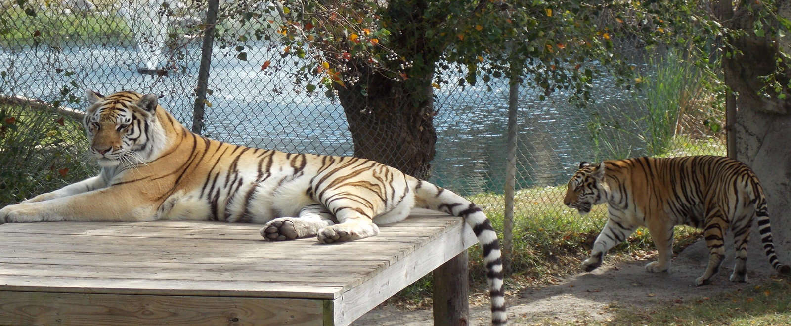 Zoo